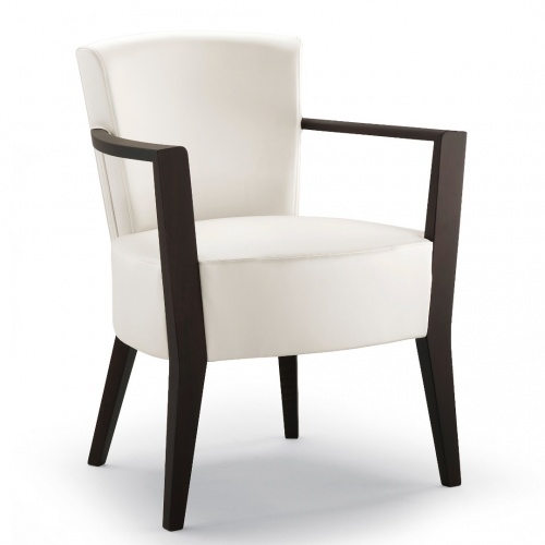 BR-1026-1 Caraluna Arm Chair